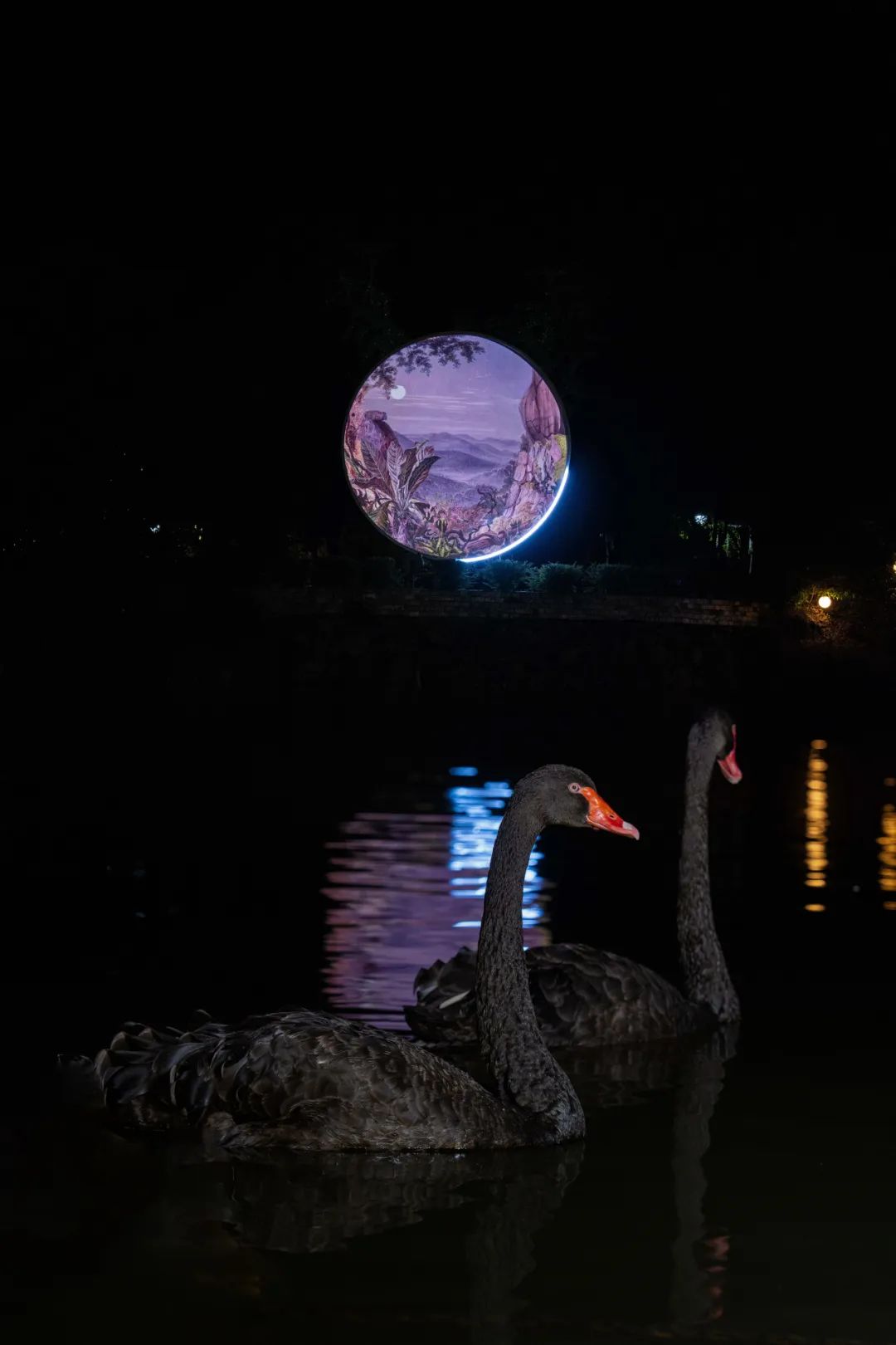 开启觅光之旅 —— 无锡动物园夏季狂欢夜